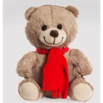 Sevimli Peluş Ayıcık