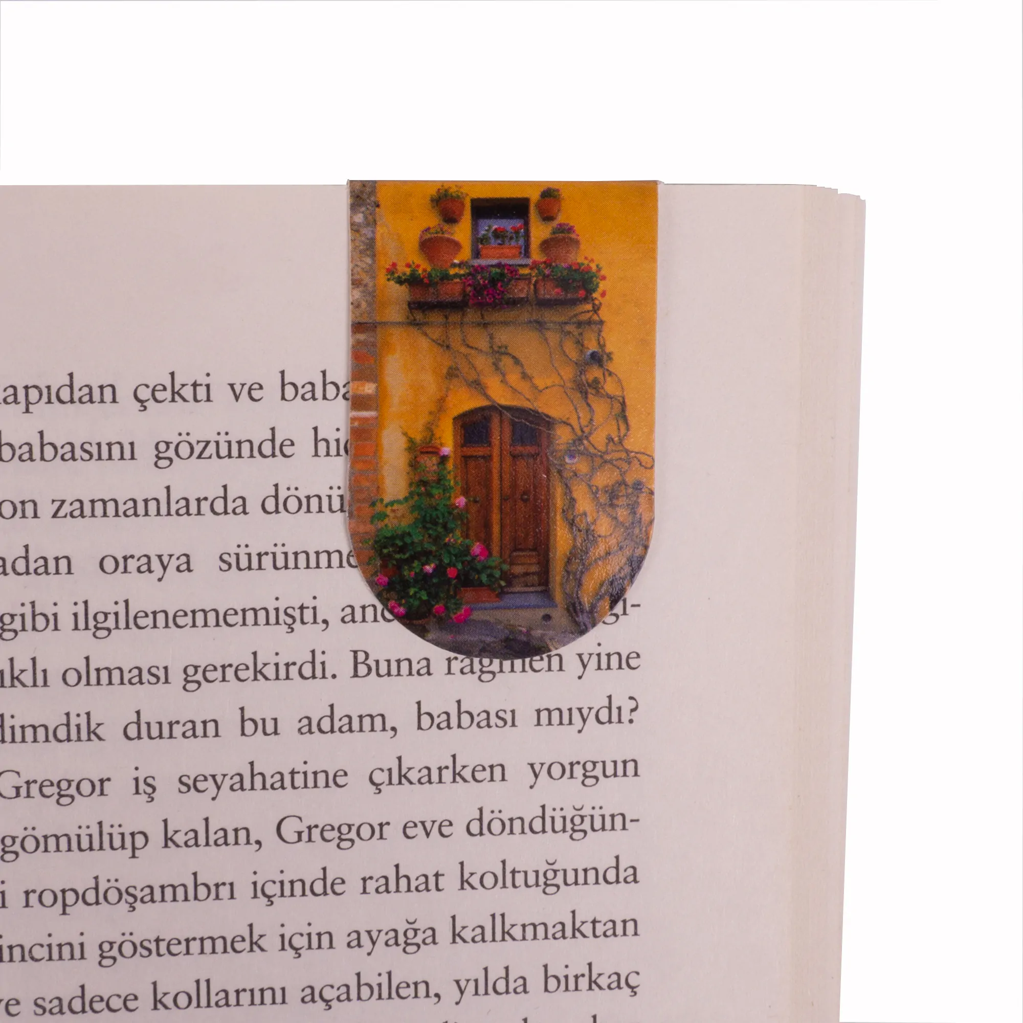 Eskitme Kapı Kitap Ayracı - Görsel 1