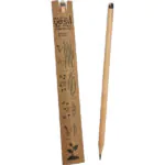 Kansas Tohumlu Kurşun Kalem