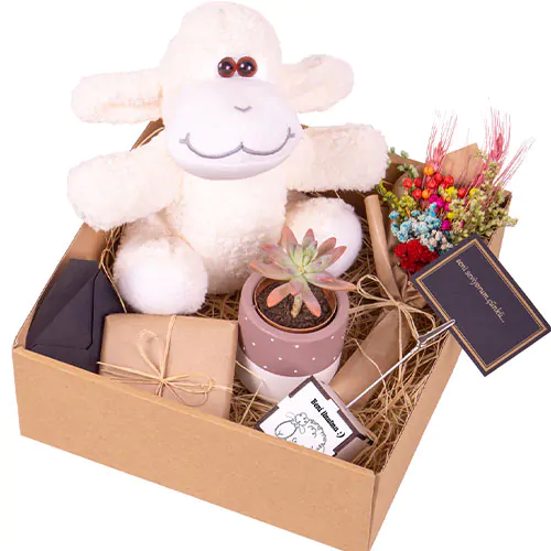 Yeni Doğan Yeğenime Hediye